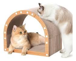 RASCADORES TUNEL